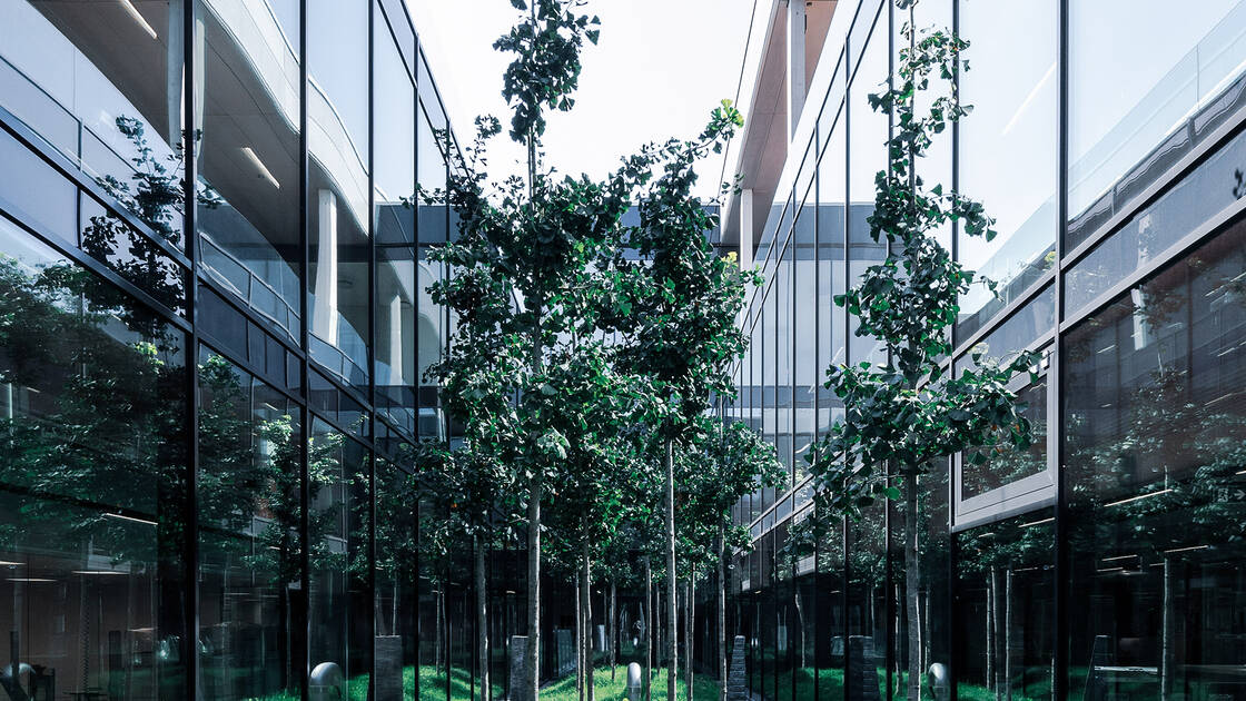 Trees inside the Lean Factory